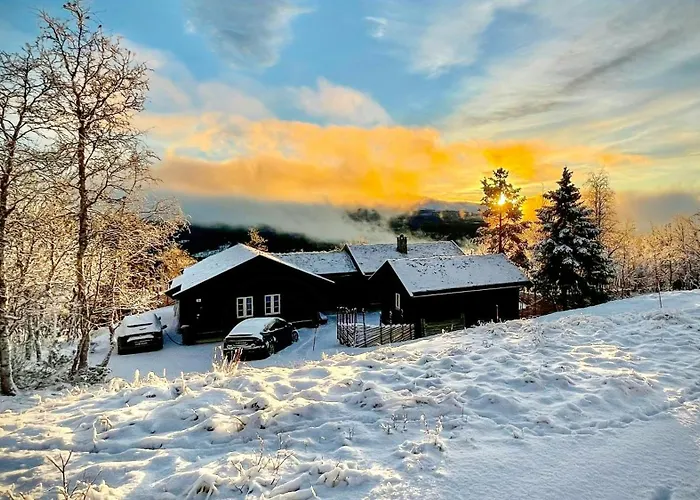 Modern Family Near Jotunheimen